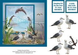 Sea Life 7x7 Step by Step