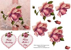 Celebration Rose Step by Step