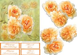 Roses, Butterflies and Swirls Step by Step