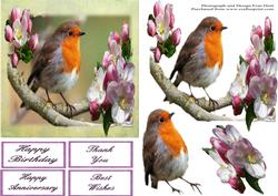 Robin in the Apple Tree Step by Step