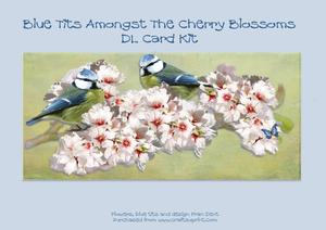 Blue Tits Amongst the Cherry Blossoms Large Dl Card Kit
