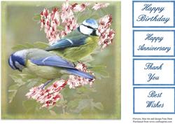 Blue Tits and Blossoms 8x8 Topper