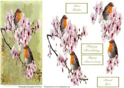 Robins and Almond Blossom Dl with Decoupage.