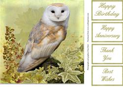 Barn Owl 8x8 Topper