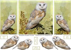 Barn Owl Gatefold