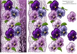 Pansies Dl