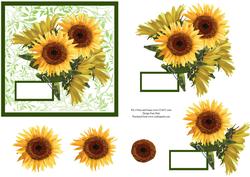 Sunflower Heaven Step by Step