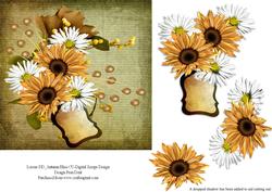 Yellow Daisies