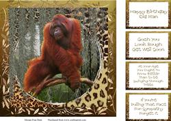 George 8x8 Topper