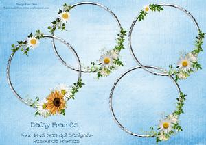 Daisy Frames