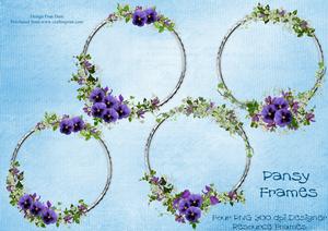 Pansy Frames