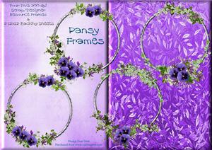 Pansy Frames