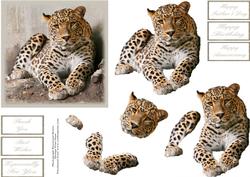 Chillin Out Step by Step