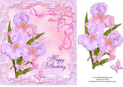Flag Iris Quick Card