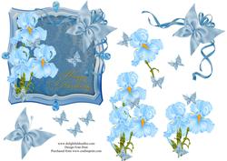 Multi Blue Step by Step