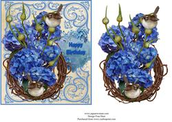 Wrens Amongst the Hydrangeas