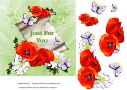 Poppies Just for You