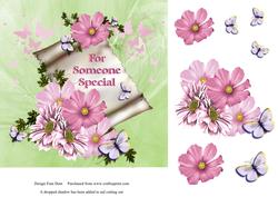 For Someone Special