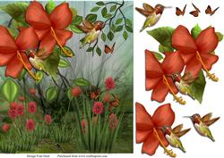 The Humming Birds