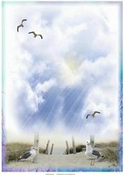 Sea Gulls