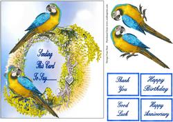 The Parrots