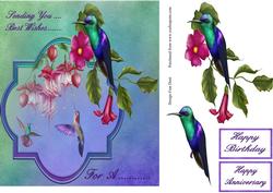 Humming Bird Wishes