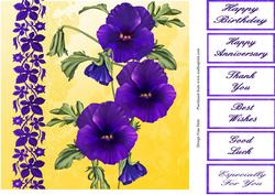 Blue Pansies