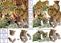 Big Cats Step by Step