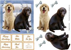 Cute Step by Step