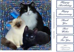 Fluffy's Family