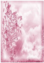 Pink Butterfly