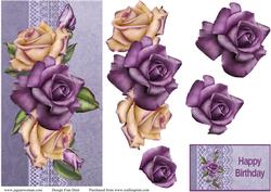 A Spray of Roses