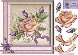 Cream Rose