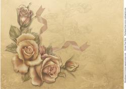 Gold on Gold Backing Sheet 2