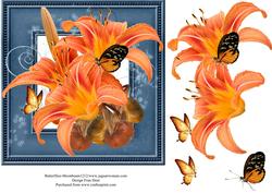 Day Lilies