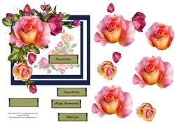 Birthday Roses