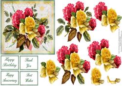 Roses Step by Step
