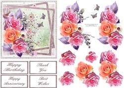 Roses and Daisies Step by Step