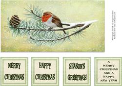Christmas Robin Dl Topper