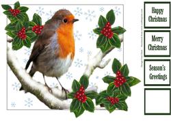 Christmas Robin and Holly