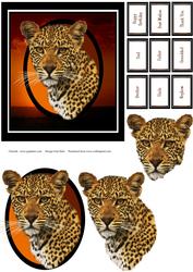 Majestic Step by Step