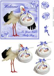 New Baby Boy Step by Step