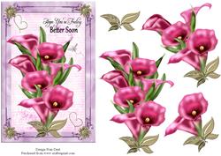 Pink Calla Lilies