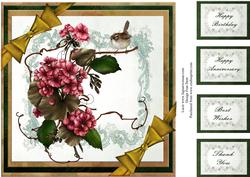 Wren and Geraniums