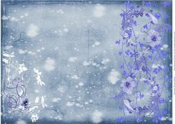 Blue Flowers