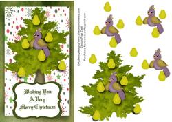 A Partridge in a Pear Tree