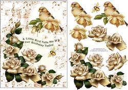 Bird Song