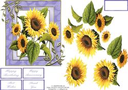 Sunflowers