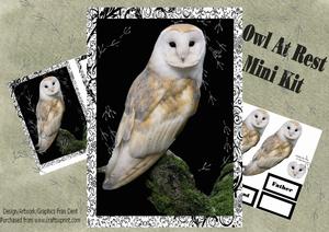 Owl at Rest Mini Kit