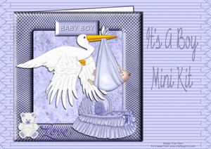 It's a Boy Mini Kit